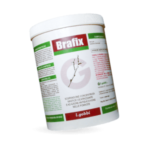 Brafix